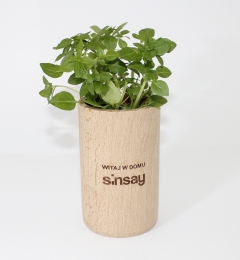 Growkit drewniany okrągły