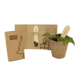 850x850_plantstick01