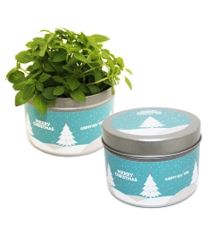 Grow kit w puszce