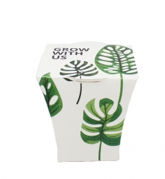 Ecocup