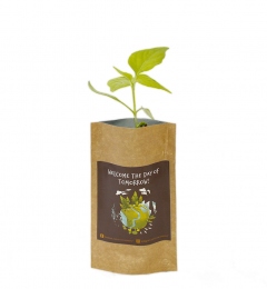 Ecobag