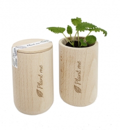 Grow kit wooden round