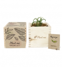 Grow kit wooden square