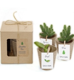 Natura trójpak