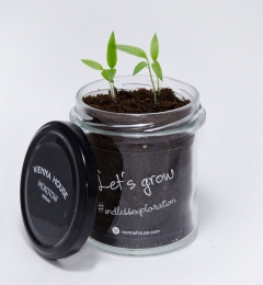 Grow kit