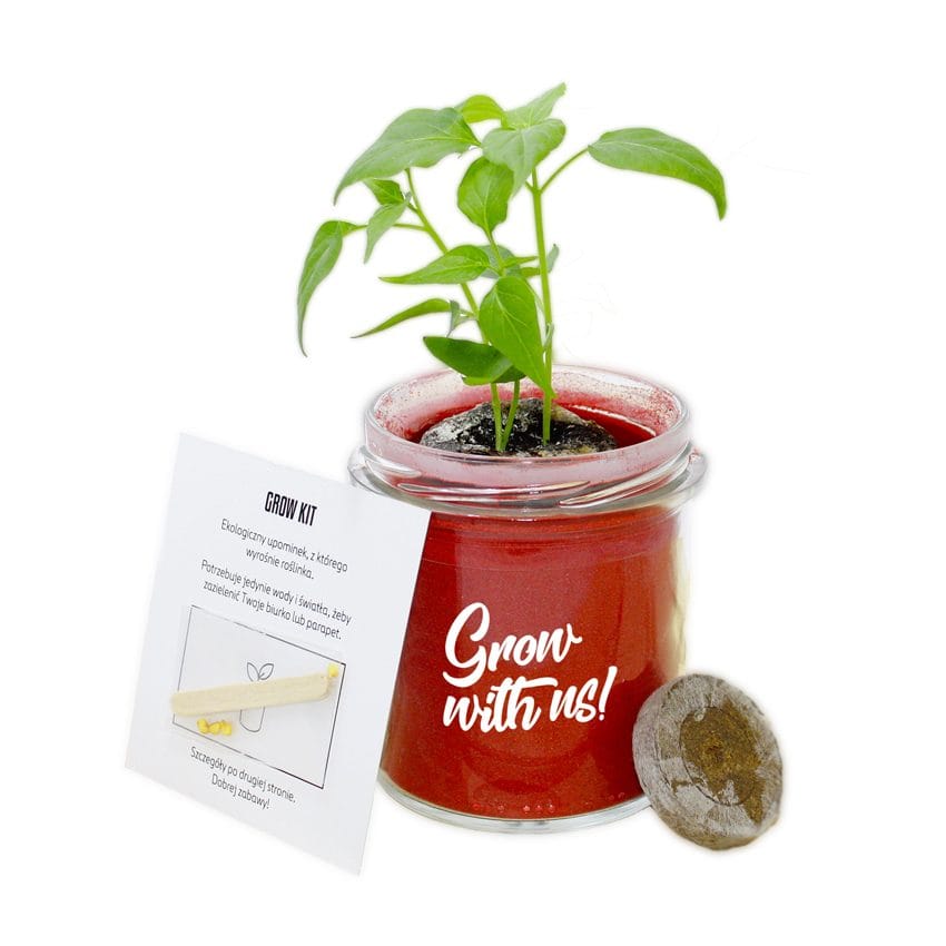 eko upominek gadżet reklamowy grow kit barwiony kwarc wyhoduj własną roślinę eco gift promotional gadget growgit colored sand grow your own plant