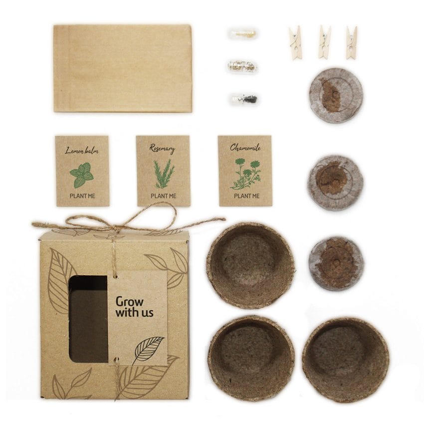 eko upominek gadżet reklamowy natura trójpak wyhoduj własną roślinę eco gift promotional gadget nature 3-pack grow your own plant