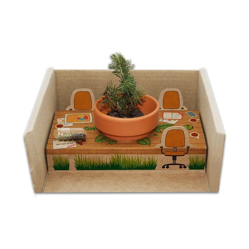 diorama growing gift rosnący upominek
