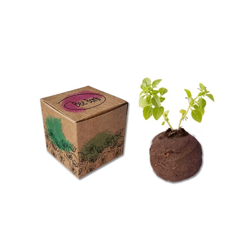 kula siewna seed bomb